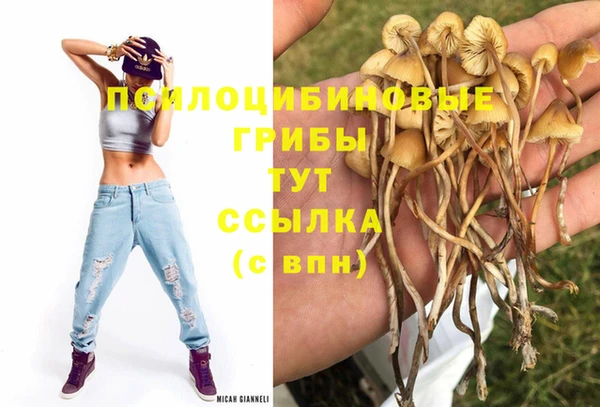 МДПВ Алексин