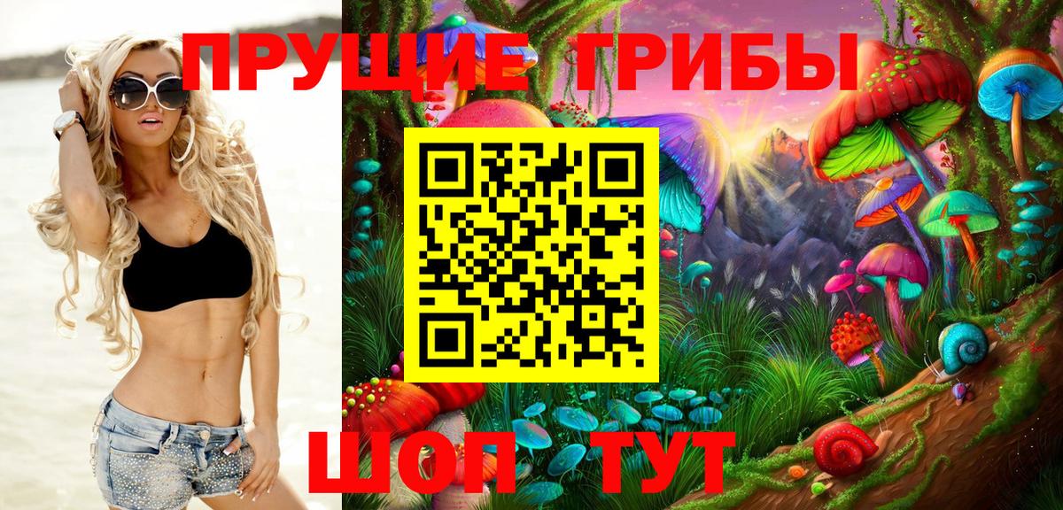 Красноярск  купить наркотики сайты  Вход с VPN  Псилоцибиновые грибы Psilocybe 