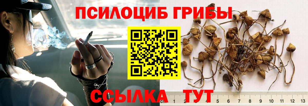 Псилоцибиновые грибы MAGIC MUSHROOMS Красноярск